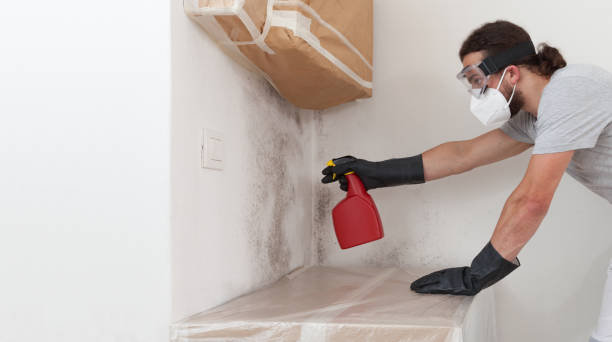 Professional Bathroom Mold Removal technician working in Auburndale, FL