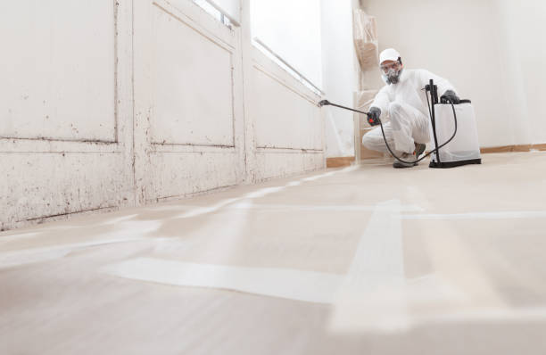 24/7 Emergency Bathroom Mold Removal experts in Auburndale, FL